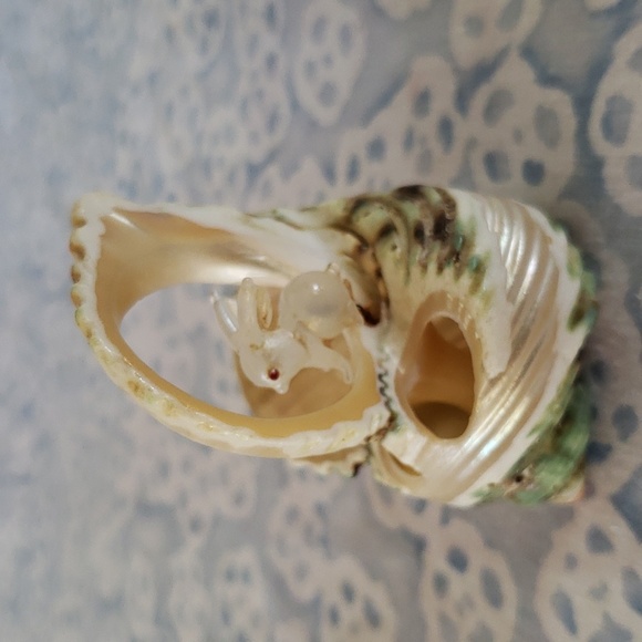 Carved Seashell with Rabbit - Picture 9 of 15